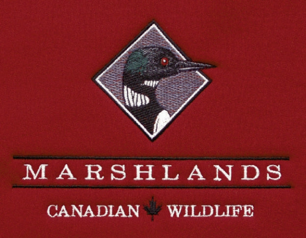MARSHLANDS WILDLIFE, LOON