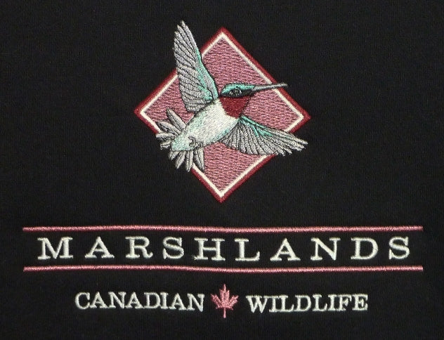MARSHLANDS WILDLIFE, HUMMINGBIRD