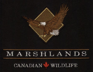 MARSHLANDS WILDLIFE, EAGLE